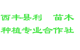 西丰县利鑫苗木种植专业合作社