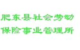 肥东县社会劳动保险事业管理所