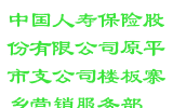 中国人寿保险股份有限公司原平市支公司楼板寨乡营销服务部