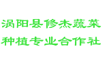 涡阳县修杰蔬菜种植专业合作社