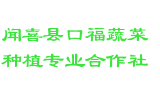 闻喜县口福蔬菜种植专业合作社