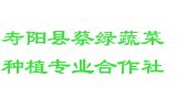 寿阳县蔡绿蔬菜种植专业合作社