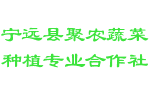 宁远县聚农蔬菜种植专业合作社