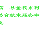 临澧县金枝果树协会技术服务中心