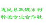 惠民县政波果树种植专业合作社