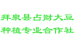 拜泉县占财大豆种植专业合作社