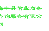 海丰县信业商务咨询服务有限公司