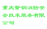 重庆紫铜消防安全技术服务有限公司