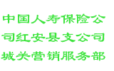 中国人寿保险公司红安县支公司城关营销服务部