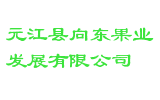 元江县向东果业发展有限公司