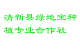 清新县绿地宝种植专业合作社
