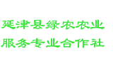 延津县绿农农业服务专业合作社