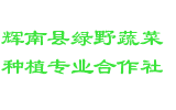 辉南县绿野蔬菜种植专业合作社