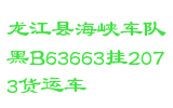 龙江县海峡车队黑B63663挂2073货运车