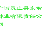 广西灵山县东智林业有限责任公司