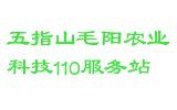 五指山毛阳农业科技110服务站