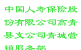 中国人寿保险股份有限公司高青县支公司青城营销服务部