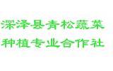 深泽县青松蔬菜种植专业合作社
