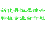 新化县恒远油茶种植专业合作社