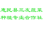 惠民县三友蔬菜种植专业合作社