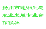 扬州市莲湘生态农业发展专业合作联社