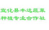 宣化县丰达蔬菜种植专业合作社