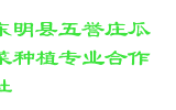 东明县五誉庄瓜菜种植专业合作社