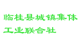 临桂县城镇集体工业联合社