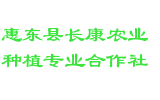 惠东县长康农业种植专业合作社