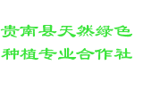 贵南县天然绿色种植专业合作社