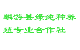 麟游县绿纯种养殖专业合作社