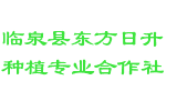 临泉县东方日升种植专业合作社