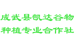 成武县凯达谷物种植专业合作社