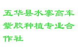 五华县水寨高车紫胶种植专业合作社