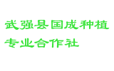 武强县国成种植专业合作社